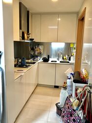 Park Infinia At Wee Nam (D11), Condominium #638244711